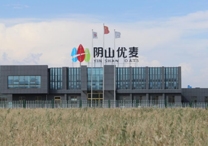 權(quán)威！陰山優(yōu)麥被認(rèn)證為“中國有機燕麥第 一品牌”